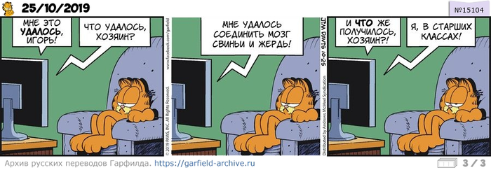 Перевод Гарфилда 25 октября 2019 года