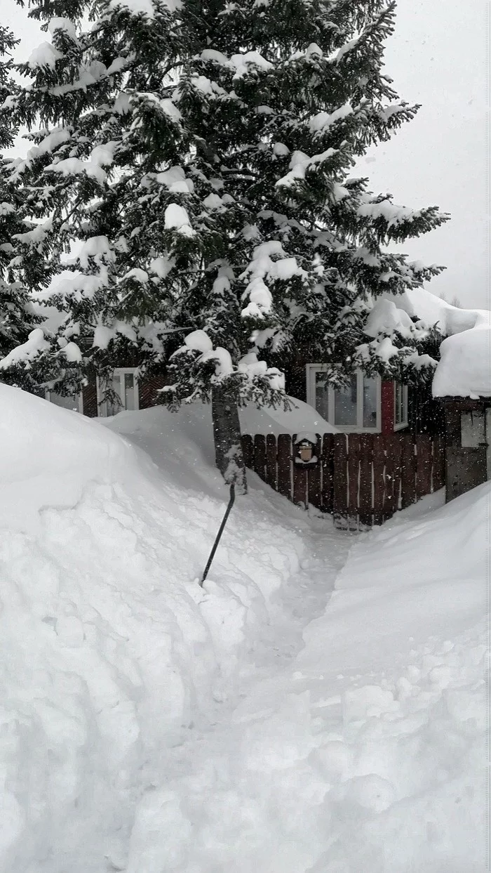 Don't cook the pot - My, Snowfall, Shovel, House, Winter, Spring, Siberia, Snow