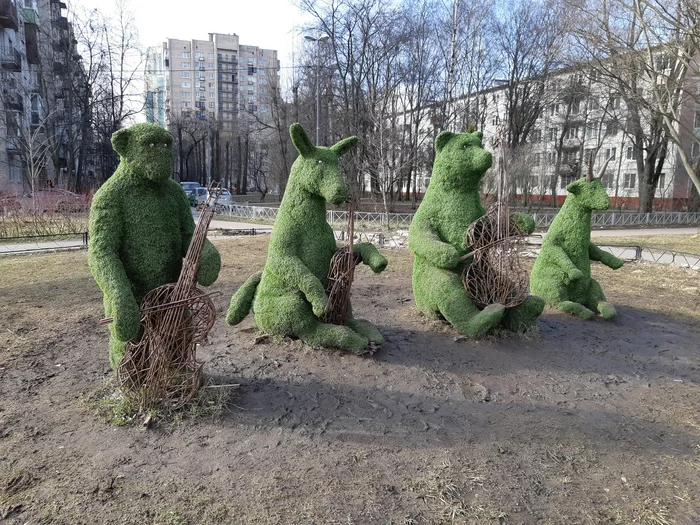 В Питере - Моё, Ландшафтный дизайн, Санкт-Петербург, Фотография, Квартет