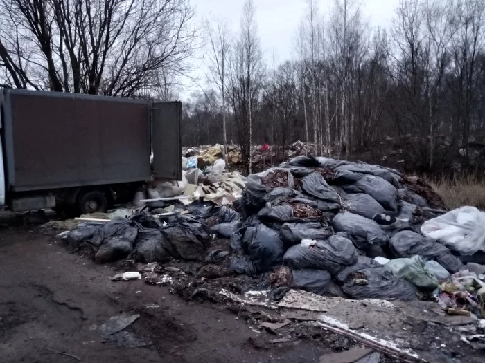 Dumping garbage in the city - My, Garbage, Dump, Longpost
