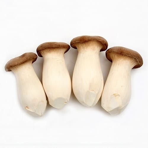 asian mushrooms - Mushrooms, Food, Food, Eda ru, Longpost, Products