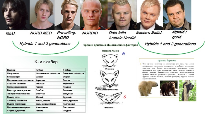 ��������������� �������� ���� � ������� ���������������