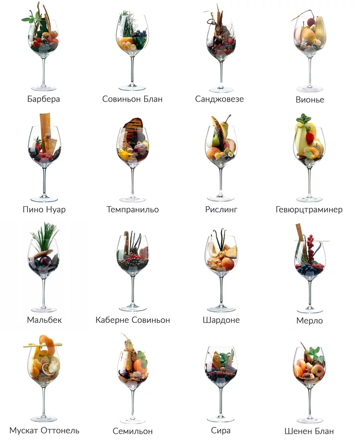 What does wine smell like? - Wine, Alcohol, Grape, Scent, Infographics, Longpost