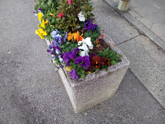 �������� ~