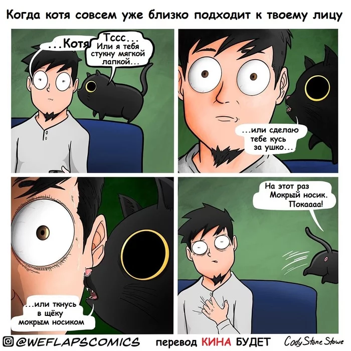 Про Котю... - Кот, Лицо, Кусь, Комиксы, Перевел сам, Cody stone stowe, Weflapscomics