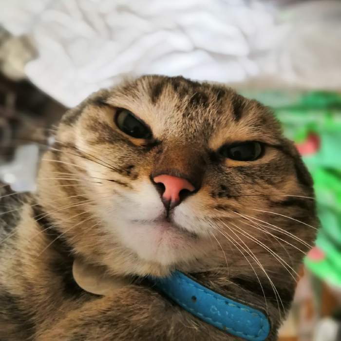 ������ �������!