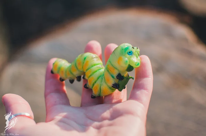 Mr. Caterpillar made of polymer clay - My, Handmade, Polymer clay, Longpost, Caterpillar, Insects, Needlework without process, Nika_kiss