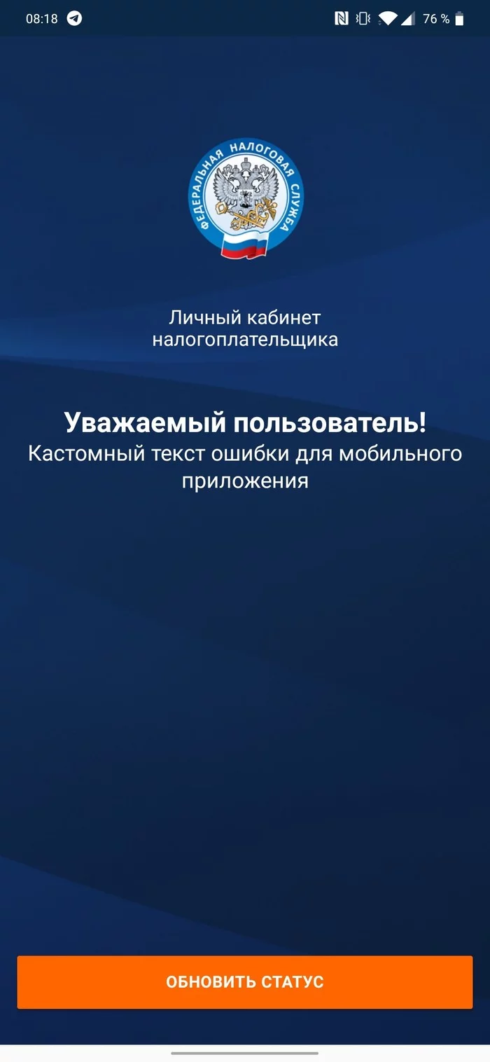 Как не надо заниматься разработкой - ФНС, Разработка, IT, Приложение, Длиннопост, Скриншот