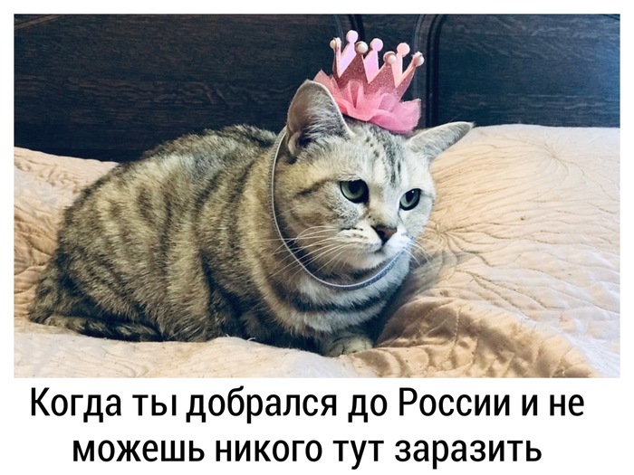 Очевидное-невероятное