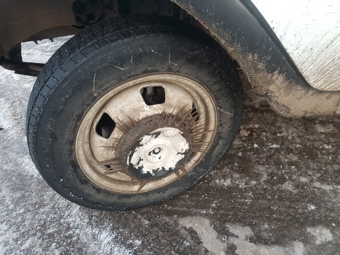 ������- ������ ������