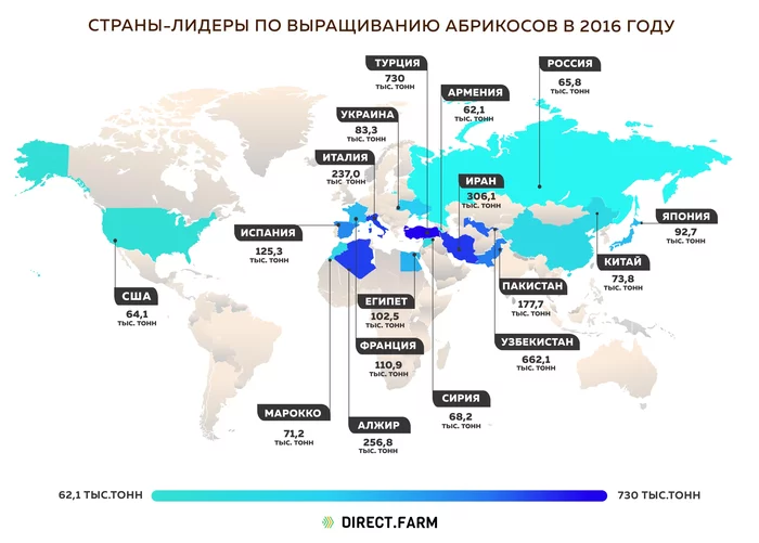 Leading countries in apricot production - My, Interesting, Informative, Statistics, Сельское хозяйство, Farm, Farmer, Products, Plant growing