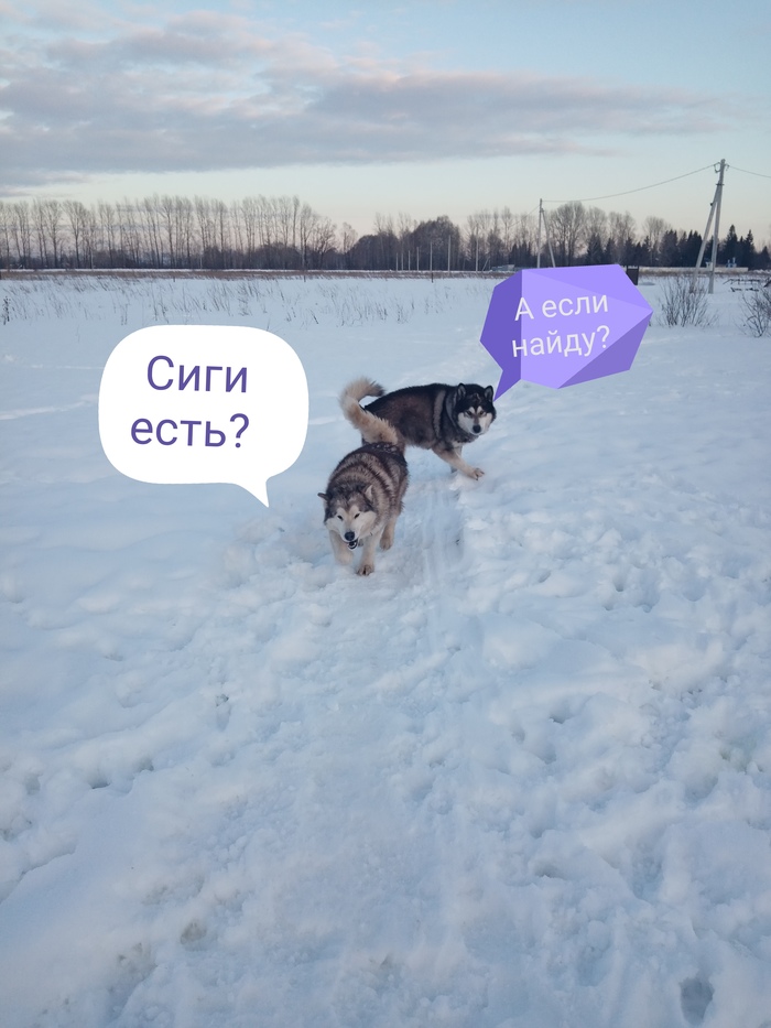 �������)))