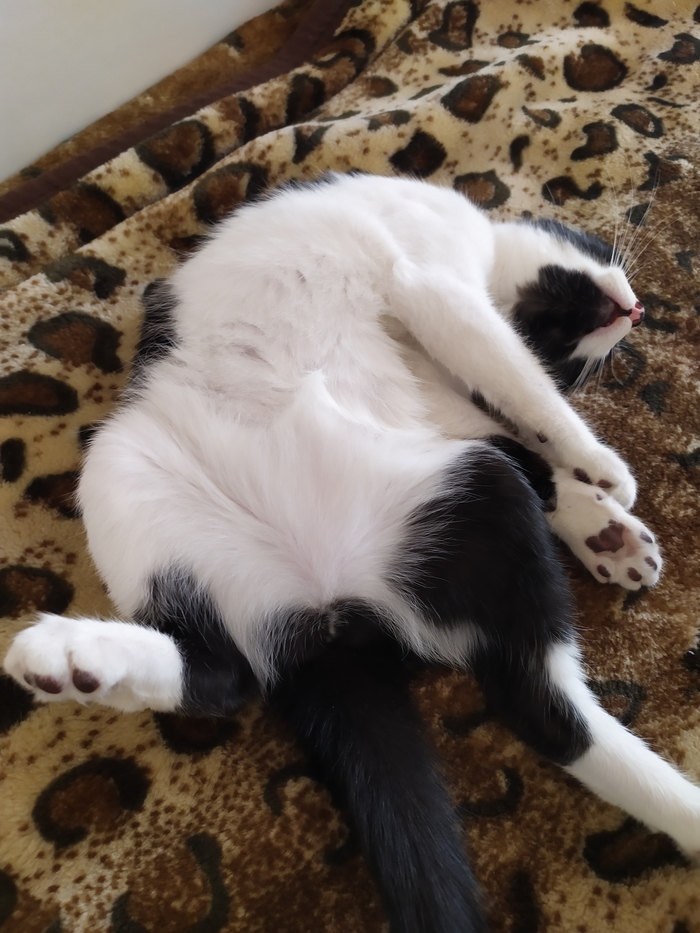 ����� ���� ��������� ��������