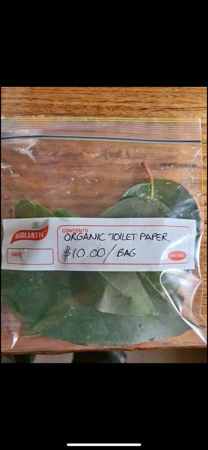 �� �����