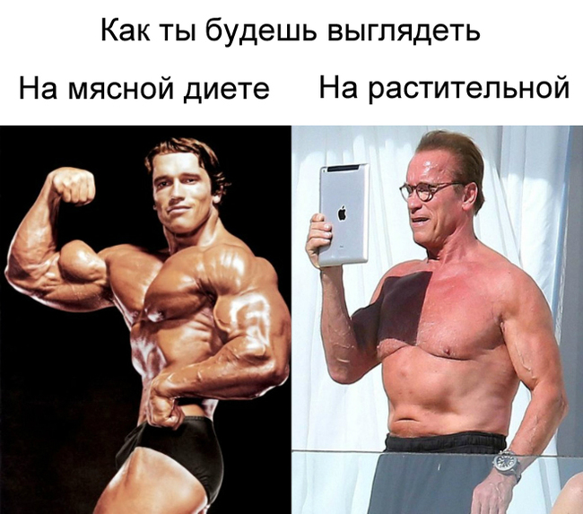 About vegetarianism - Humor, Vegetarianism, Arnold Schwarzenegger