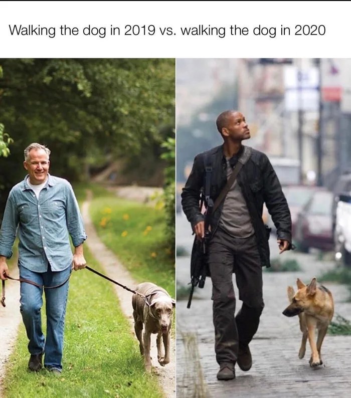 Выгул собаки