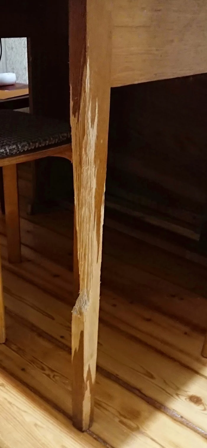 Cats and table legs. Help! - My, cat house, Pets, Problem, Help, Longpost