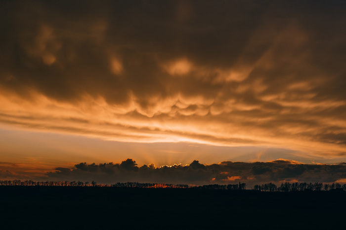 ����� ����� �����