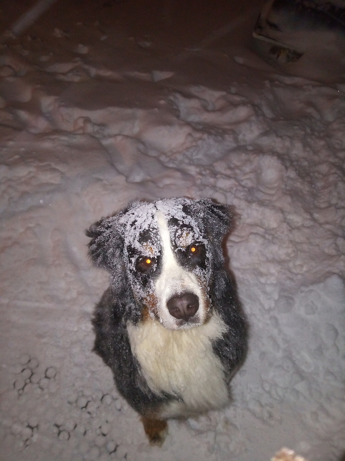 �� ����� 23 �����