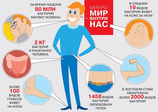 Viruses. Part 2 and 3 - Virus, Virology, Bacteria, Biology, Immunity, Coronavirus, Nauchpop, Longpost