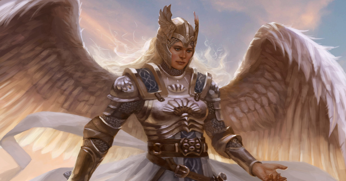 Valkyrie. Валькирия. Король Валькирия. Валькирия мужского пола. Валькирия блоггер.