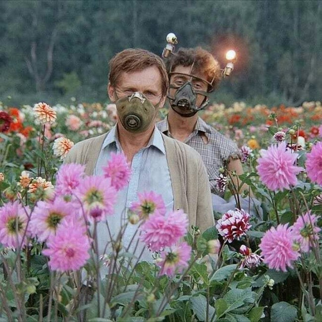 "������������� �� ������ ������� ����, ������..."