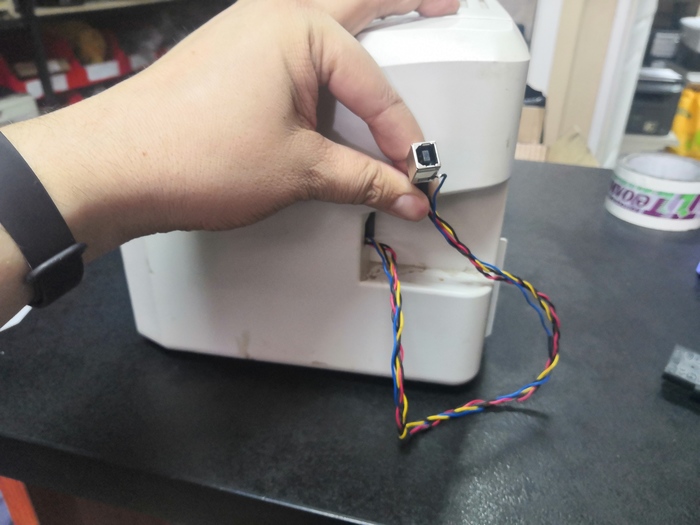 Уникальный случай регенерации