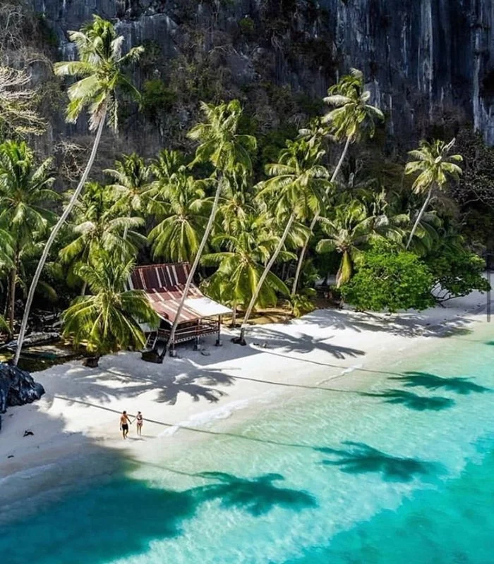I'm an adult and I decide for myself when I can burst into tears looking at a photo. - Beach, Sea, Philippines, Palm trees, Relaxation, Resort, Palawan, From the network