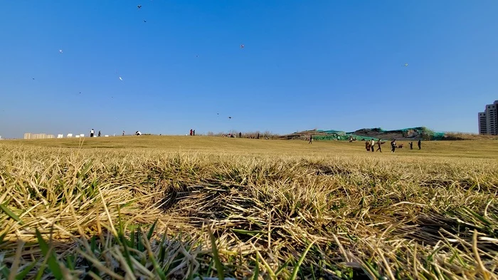 China, quarantine and 8 interesting facts about kites - My, China, Quarantine, Longpost, Interesting, Facts, Kite