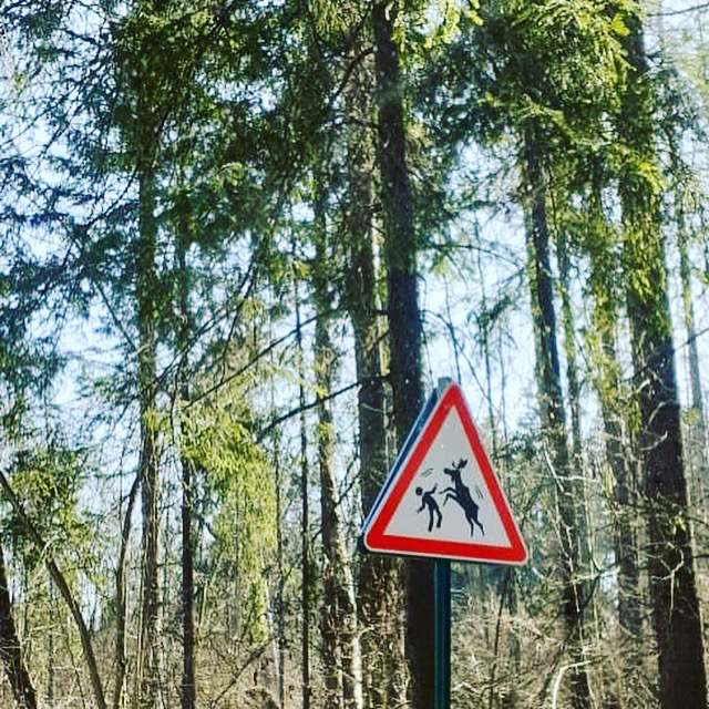 Achtung! Wild animals