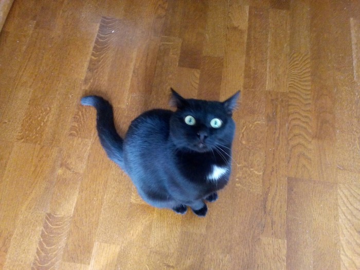 ������ �����