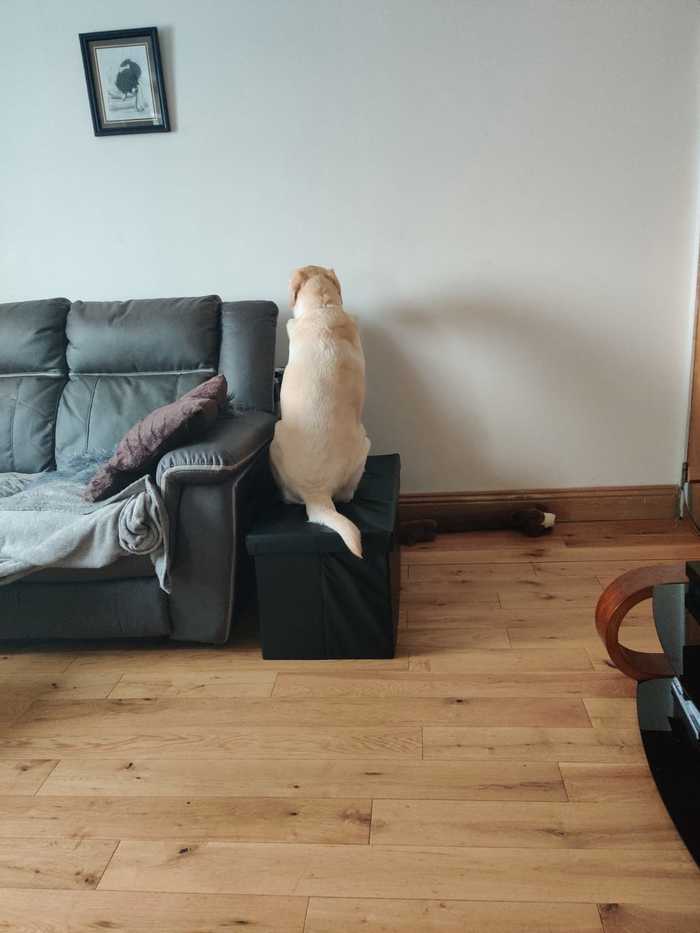 � �������� ���� ���������, ������ ��� �� ���� ������ � ���, ���� � ������� ����"