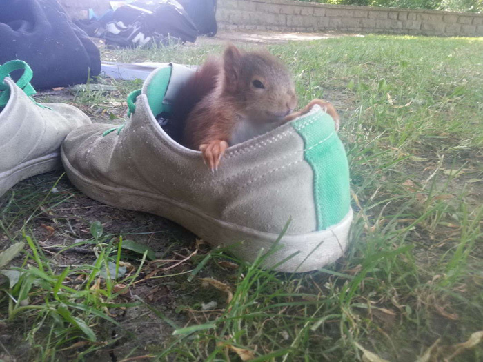 ���� ������. ��� ������ ��� ���!