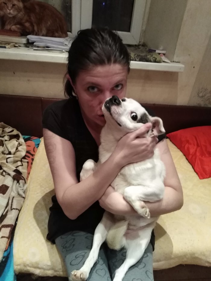 Было - стало Собака, Победа, Длиннопост