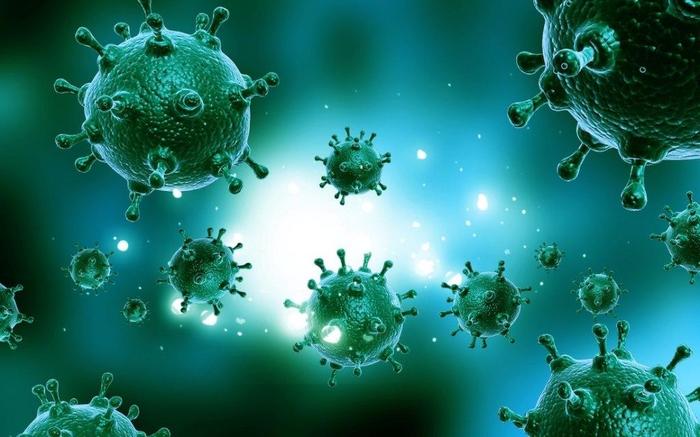 New Scam: Coronavirus Insurance - Darknet, Viral infection, Coronavirus, Working in the darknet, Dark net, Tor, Pandemic, Fraud