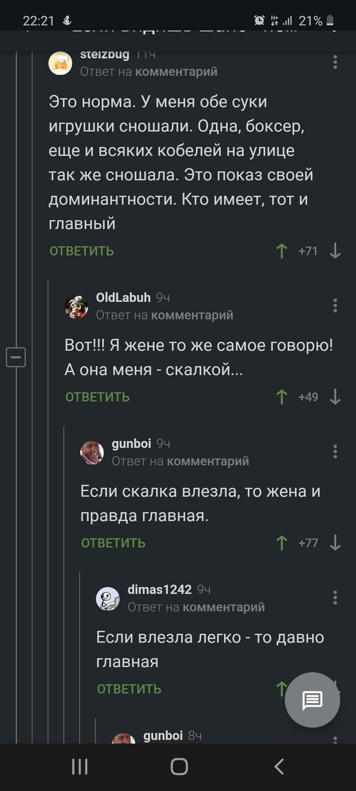 Кто в доме хозяин: истории из жизни, советы, новости, юмор и картинки — Все  посты | Пикабу