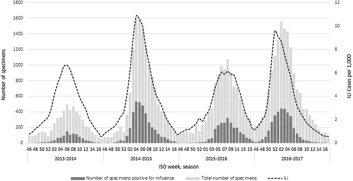 Coronavirus and flu in Italy - news, Italy, Coronavirus, Negative, Flu, Statistics
