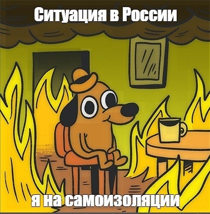 Сижу дома, читаю новости. Чувствую себя, как та собака... - Моё, Мемы, Коронавирус