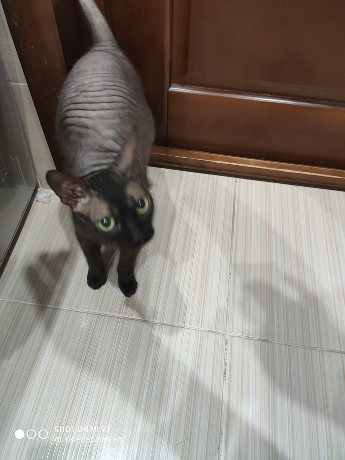 Дристовирус или как моя жена помогает мне худеть...