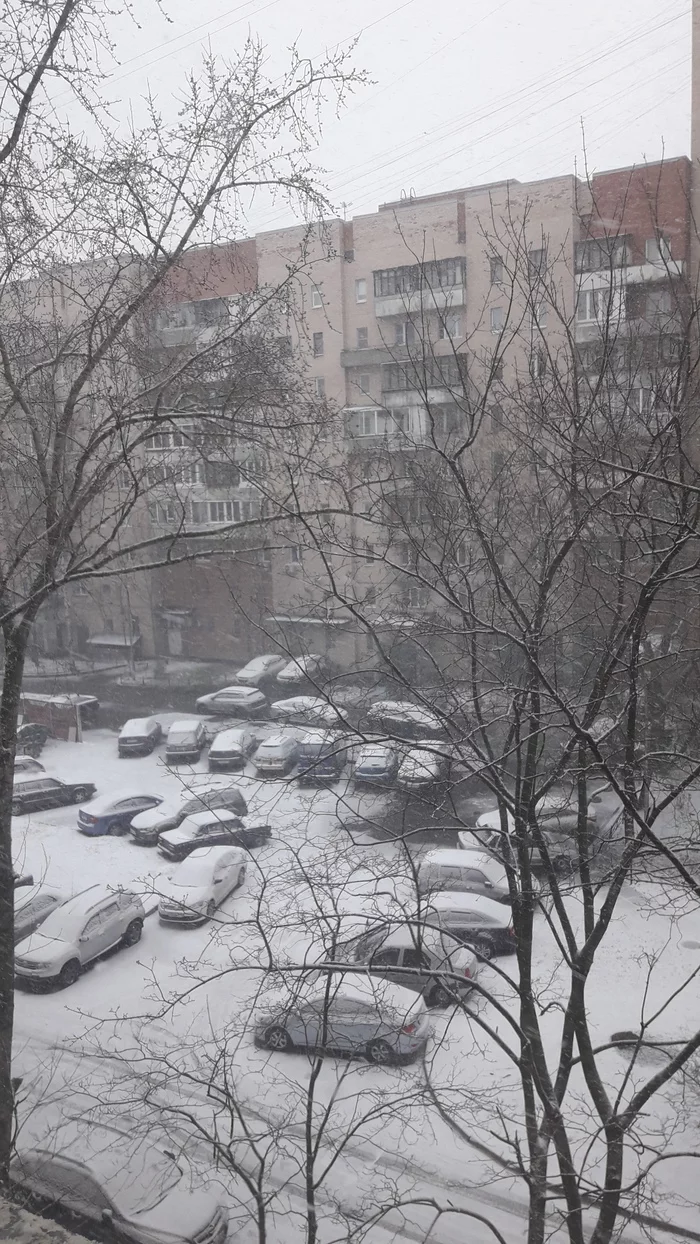 Happy April, 1! - My, Snow, Winter, Saint Petersburg