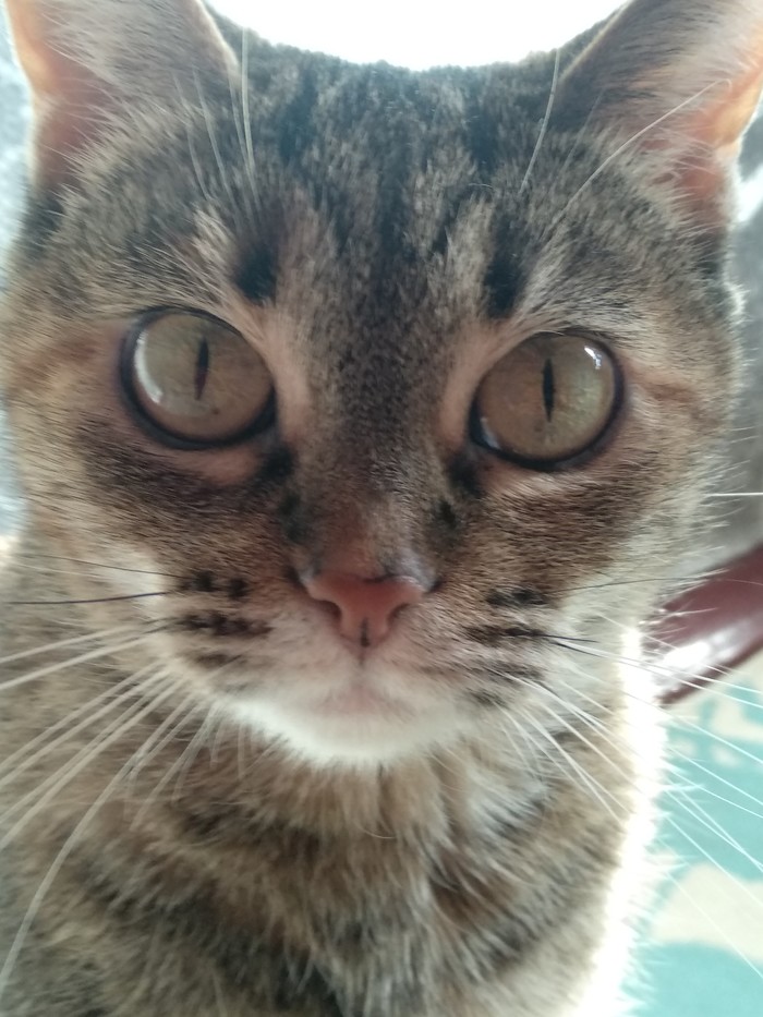  , , -, 