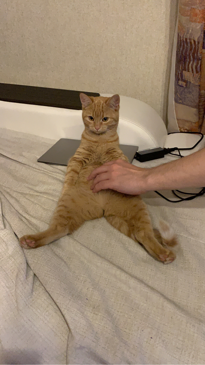 Когда узнал, что карантин продлили на месяц!