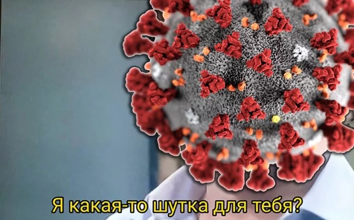 You can't teach China anything... - Coronavirus, China, Market, Dog, cat, Exotic animals, Virus, Longpost