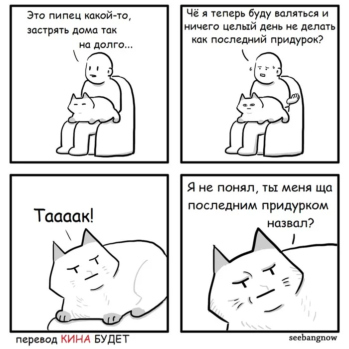 How to insult a cat... - cat, Self-isolation, Comics, Translated by myself, Seebangnow