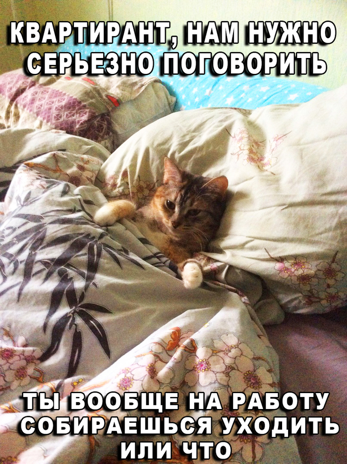     , , 