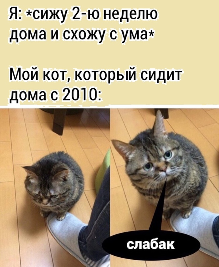 ������������� ������