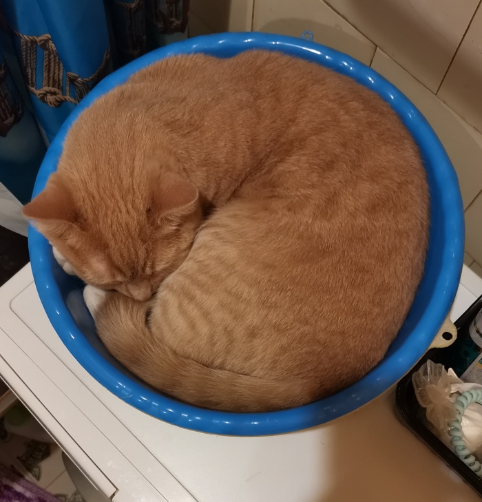 ����� �� ��� ��������� ����� ���� � ��� ��������