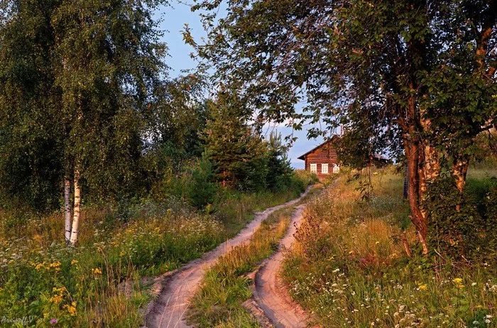 Каникулы в деревне Деревня, Каникулы, Природа, Длиннопост, Фотография, Подборка