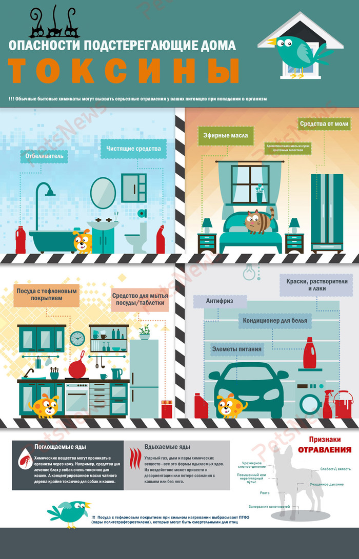 �������� ��������� ��� �������� ��������