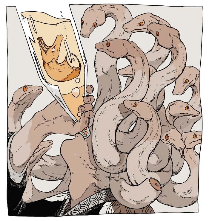 So, Gorgon, we will need to have a serious talk with you later. - Medusa Gorgon, Comics, Images, Mythology, Alcohol